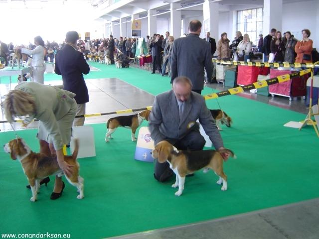 foto14.jpg - 10.11.2006 - Môj svetový úspech. (Svetová výstava psov Poznaň)